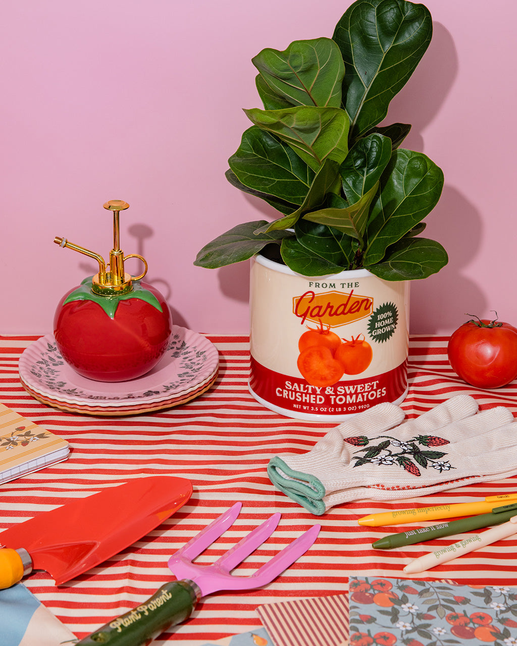 252062-WEB-plant-mister-tomato