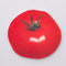 realistic tomato notepad