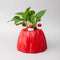 red jello mold vase/planter with a green plant inside