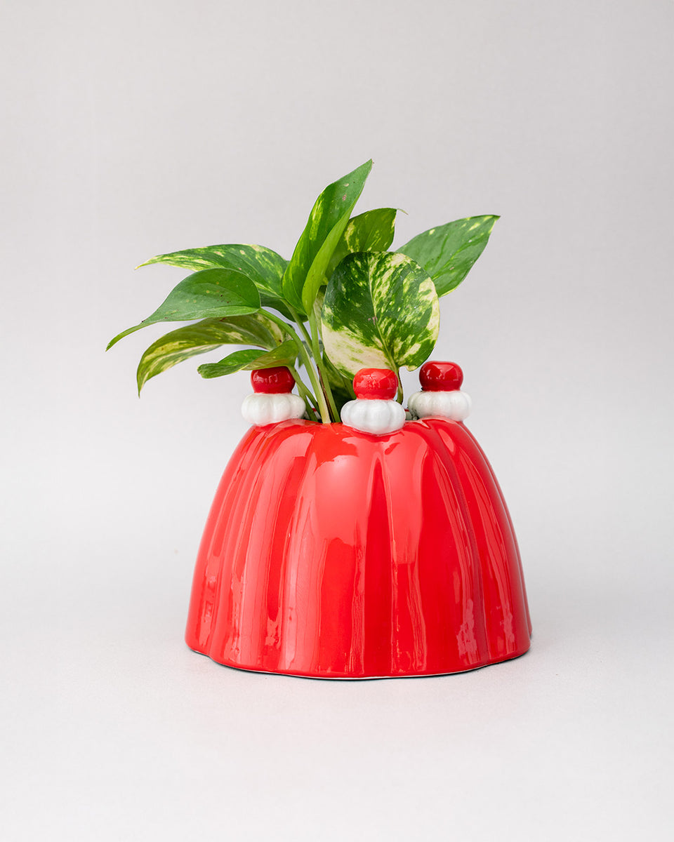 252260-WEB-jello-vase-