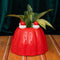 red jello mold vase/planter with a green plant inside on a velvet green background