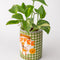 side view of green and white checkered coffee can planter with 'FIRST RODEO COFFEE' label across the front with a plant inside