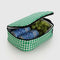 white and green gingham lunch box filled with la croixs and grapes