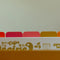 up close of colorful dividers