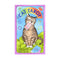 Cat Tarot: 78 Cards & Guidebook