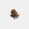 mini brown and black leopard print hair claw