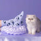 model wearing lavender socks with fuzzy black and white cat print with cat next to them
