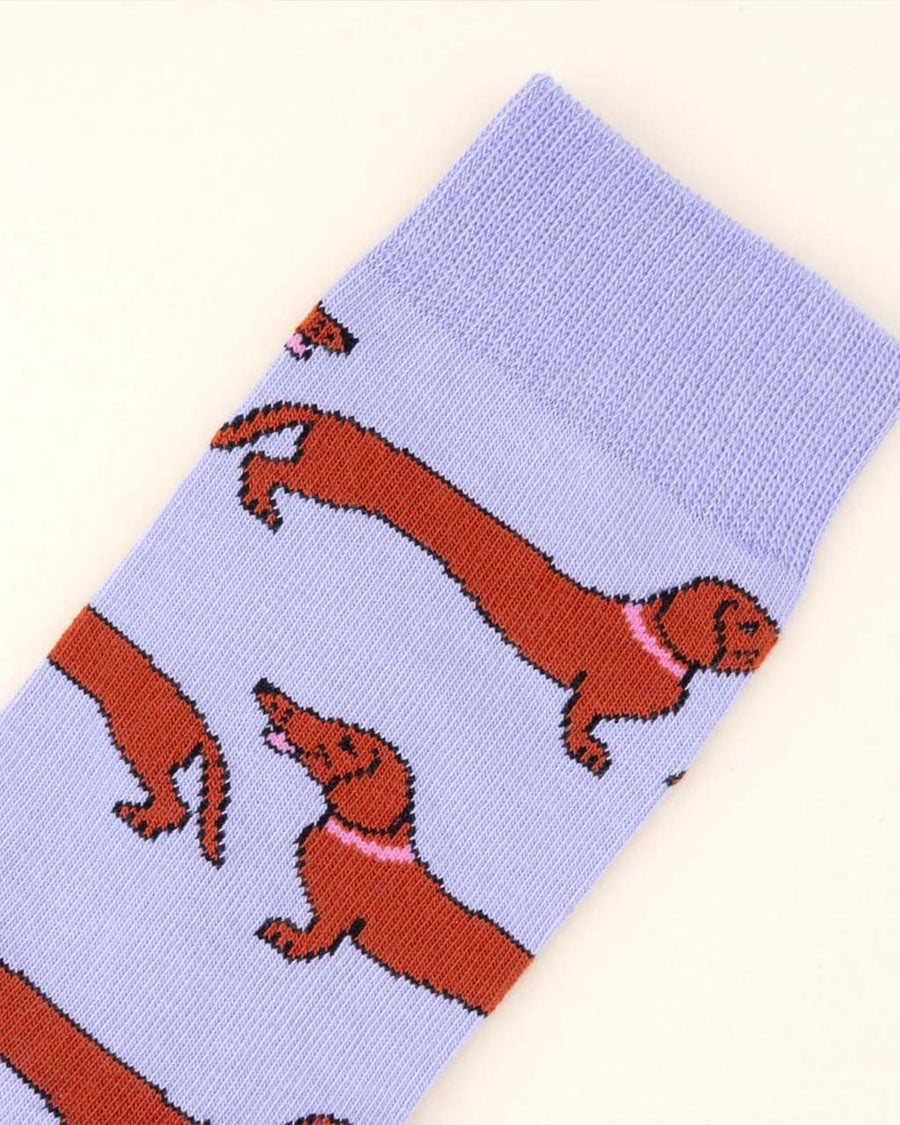up close of lilac socks with dachshund socks