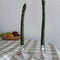 set of two green asparagus taper candles