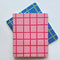 set of two notebooks: pink grid and blue and lime green grid