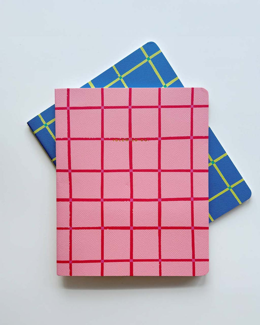 set of two notebooks: pink grid and blue and lime green grid
