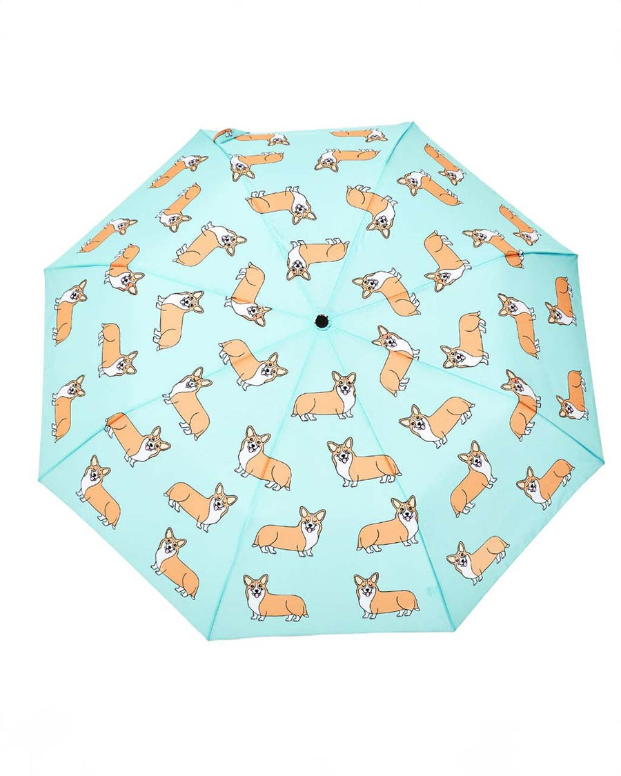 opened mint duckhead umbrella with all over corgi print