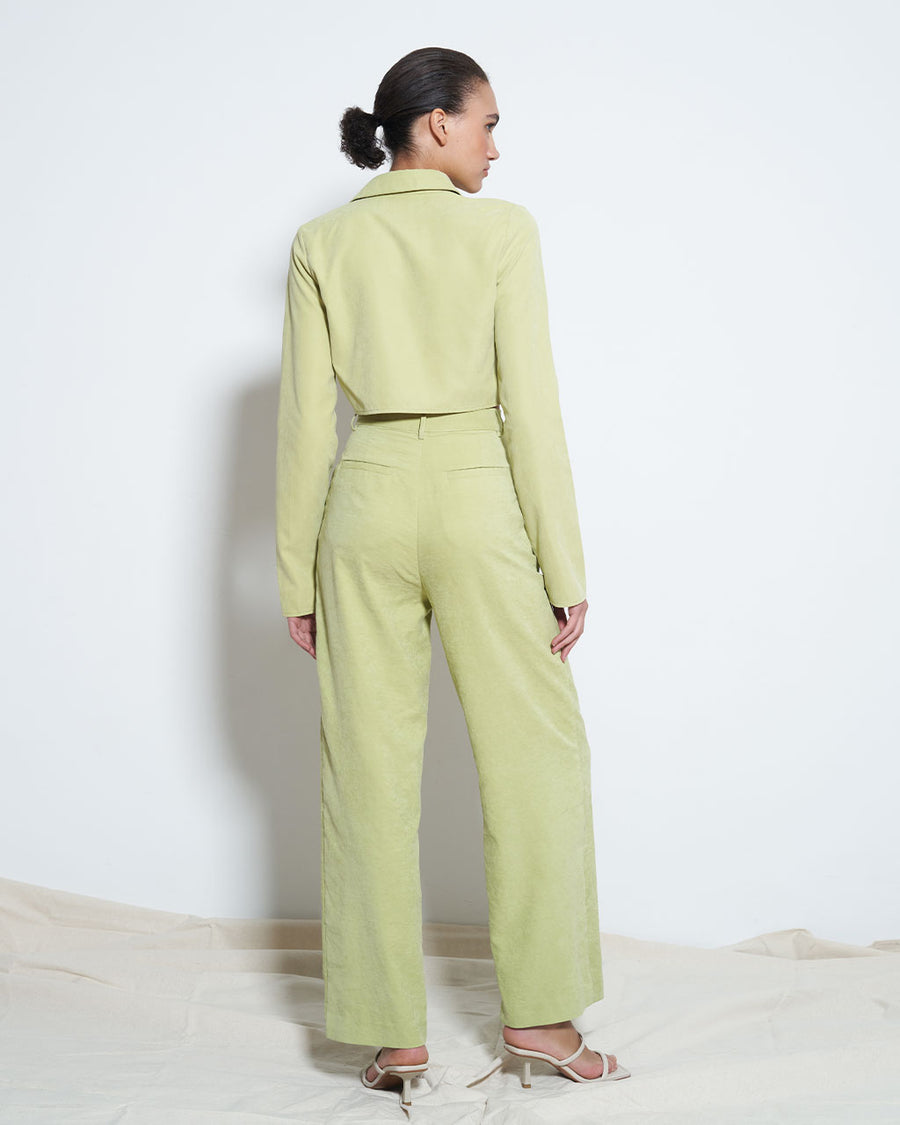 backview of model wearing light green suede trousers with pleated top and tapered legs with matching top