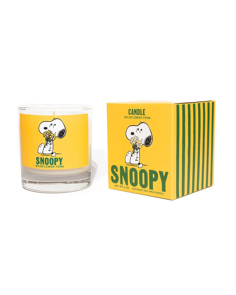 wildflower fern scented candle with snoopy graphic and box