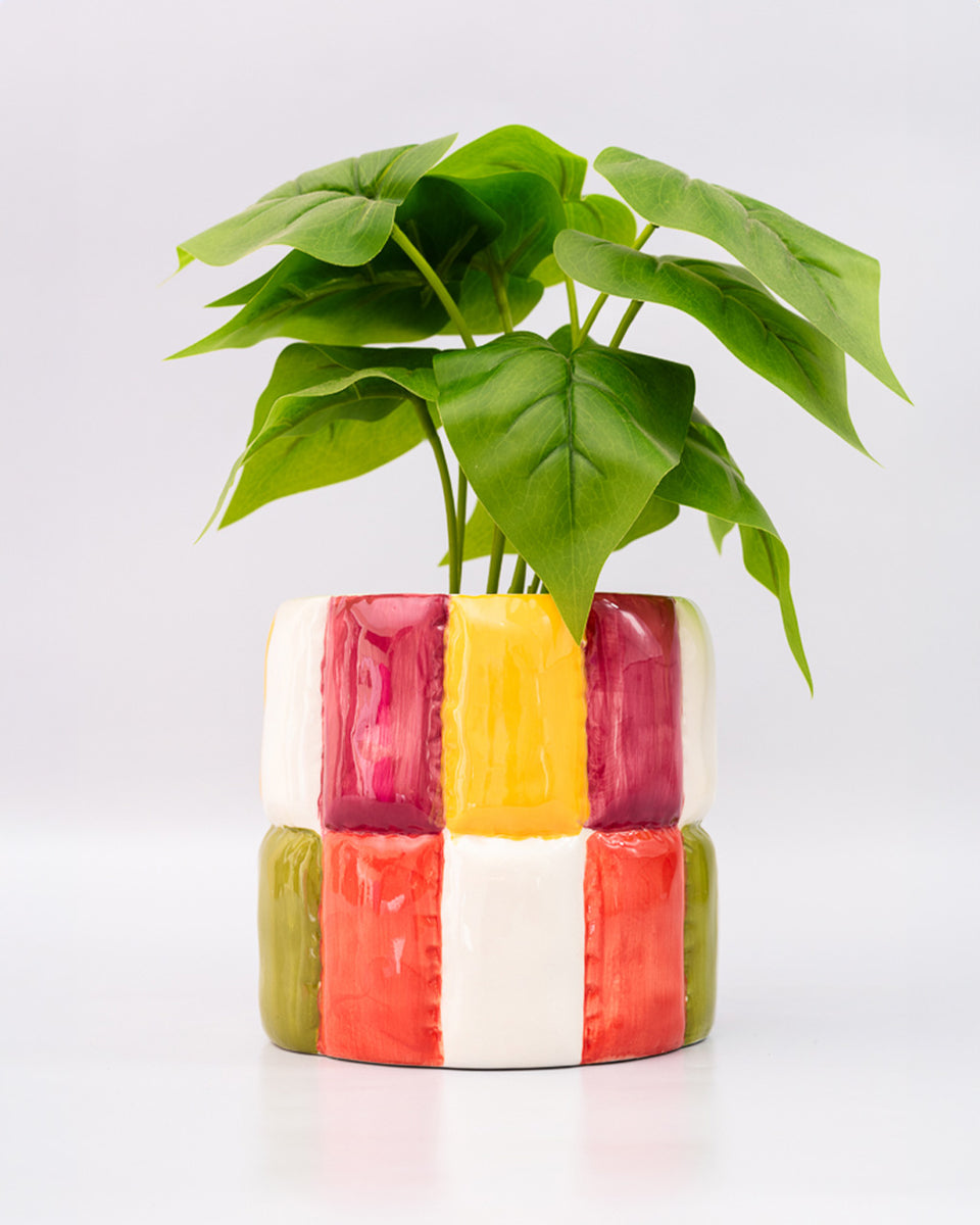 colorful ceramic plant pots ban.do