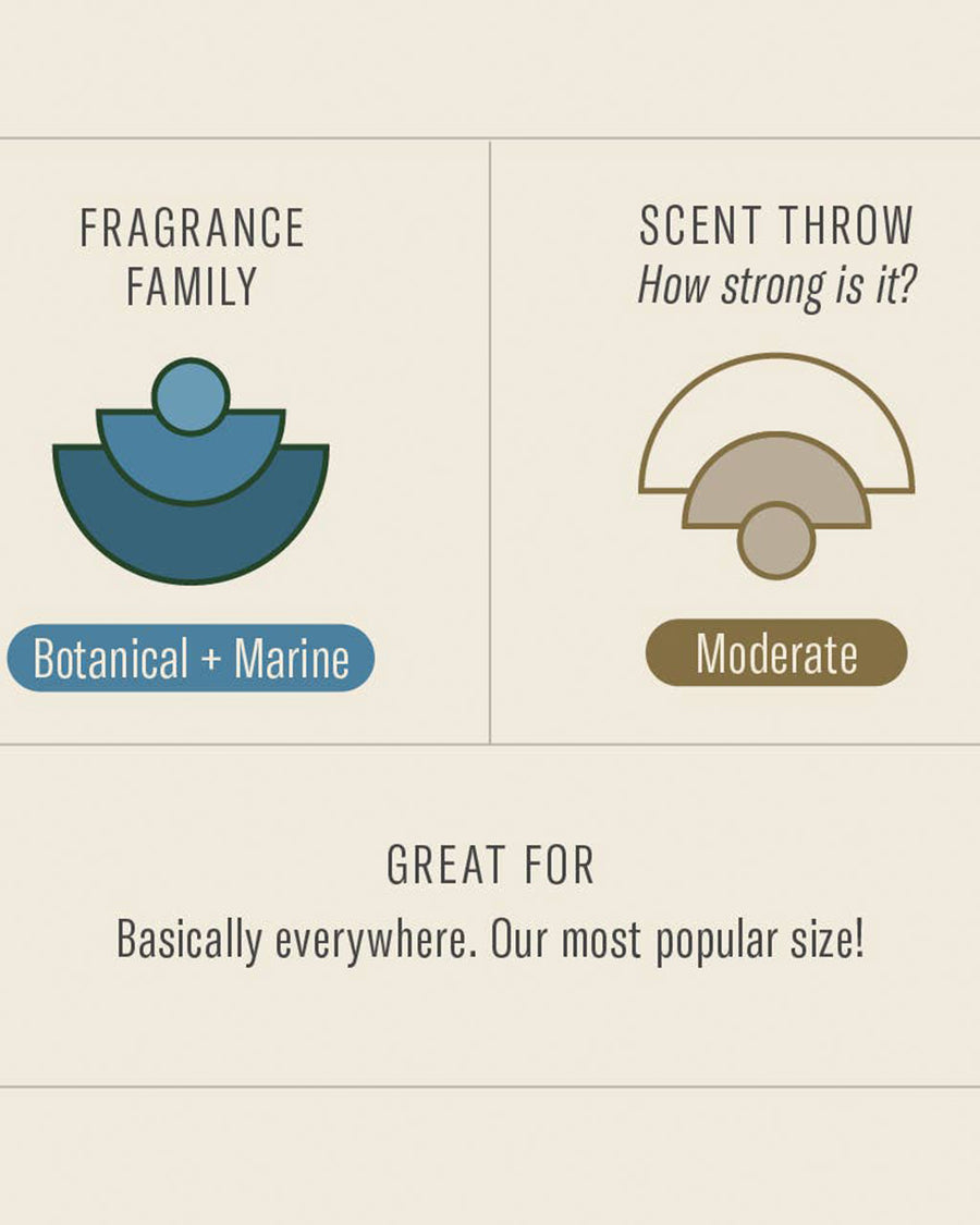 fragrance family: botanical and marine, moderate scent