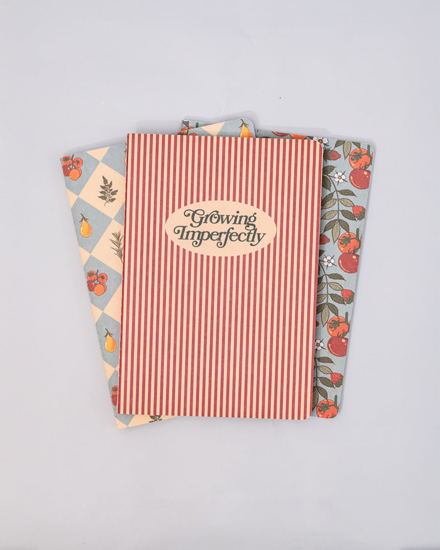 Hold That Thought Notebook Set – Growing Imperfectly | ban.do