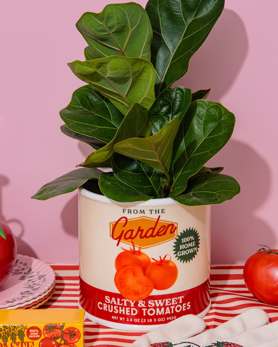 tomato pot planter Tomato Can Ceramic Planter