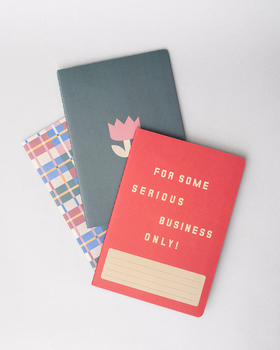 set of three small notebooks: multicolor plaid, simple pink tulip and red with 'for some serious business only!' across the front