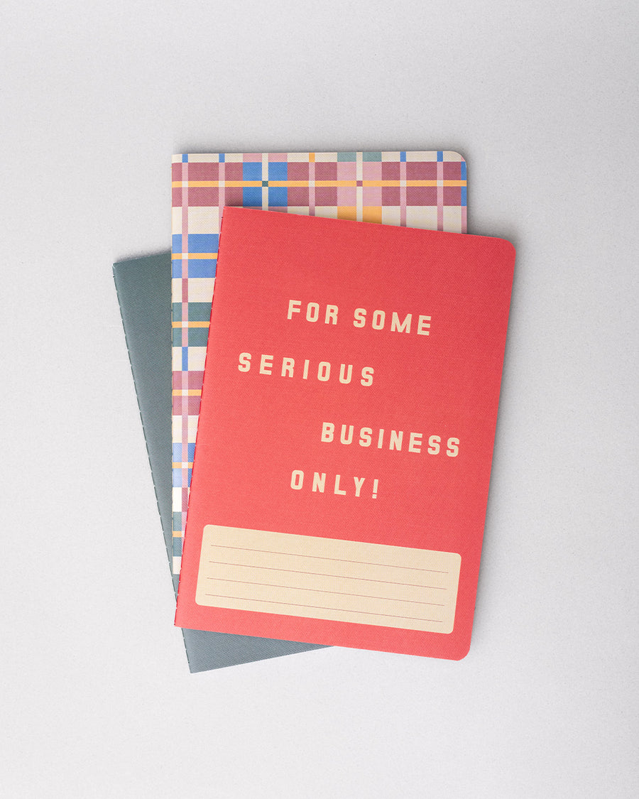 set of three small notebooks: multicolor plaid, simple pink tulip and red with 'for some serious business only!' across the front