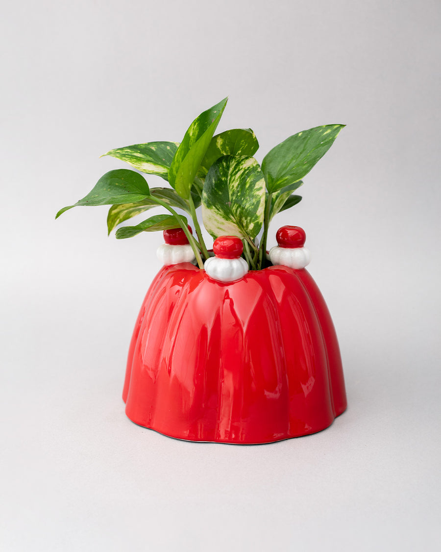 red jello mold vase/planter with a green plant inside
