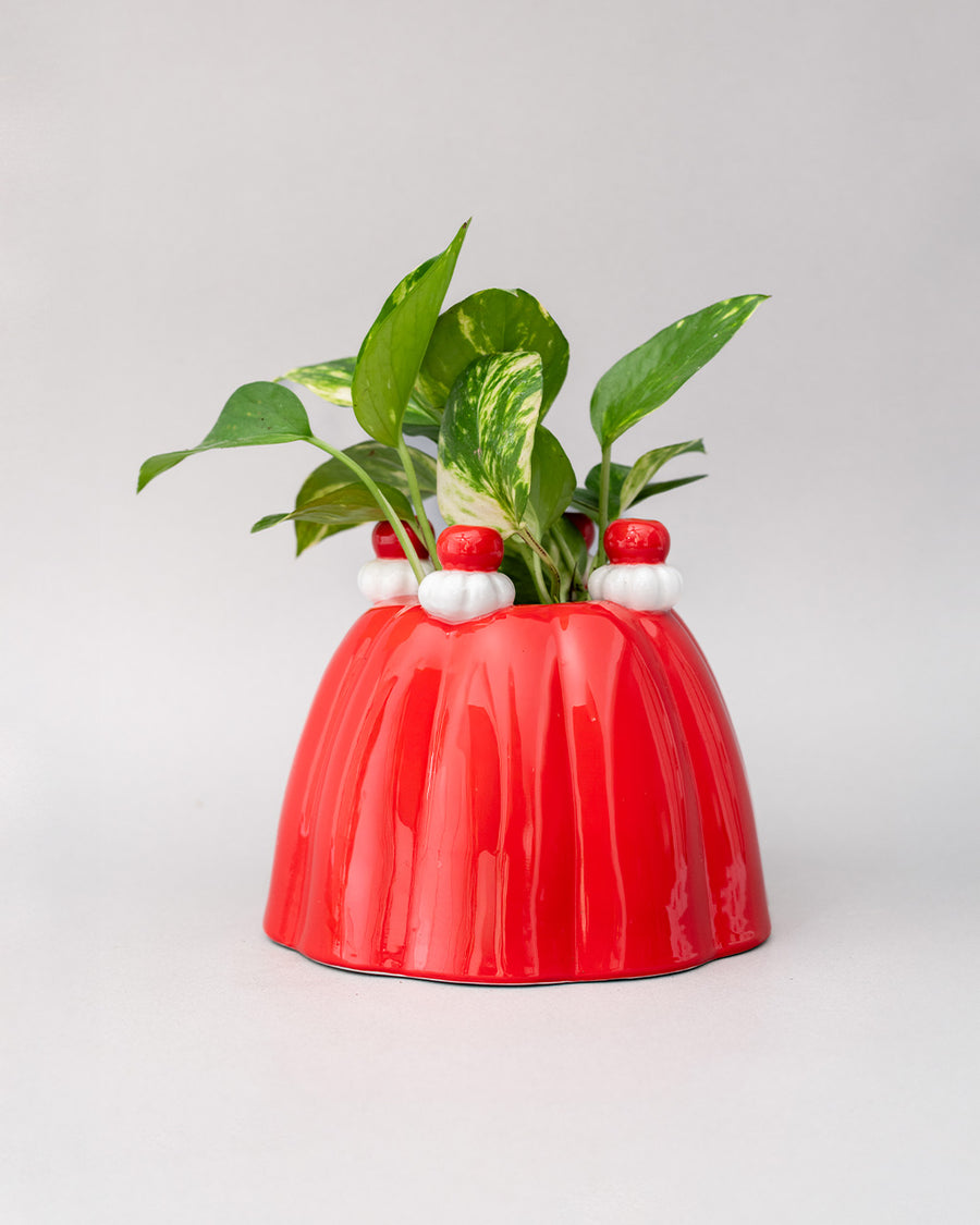 red jello mold vase/planter with a green plant inside