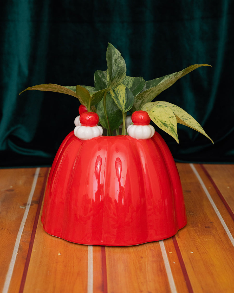 red jello mold vase/planter with a green plant inside on a velvet green background