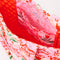 red interior of pink folk floral quilted tote bag