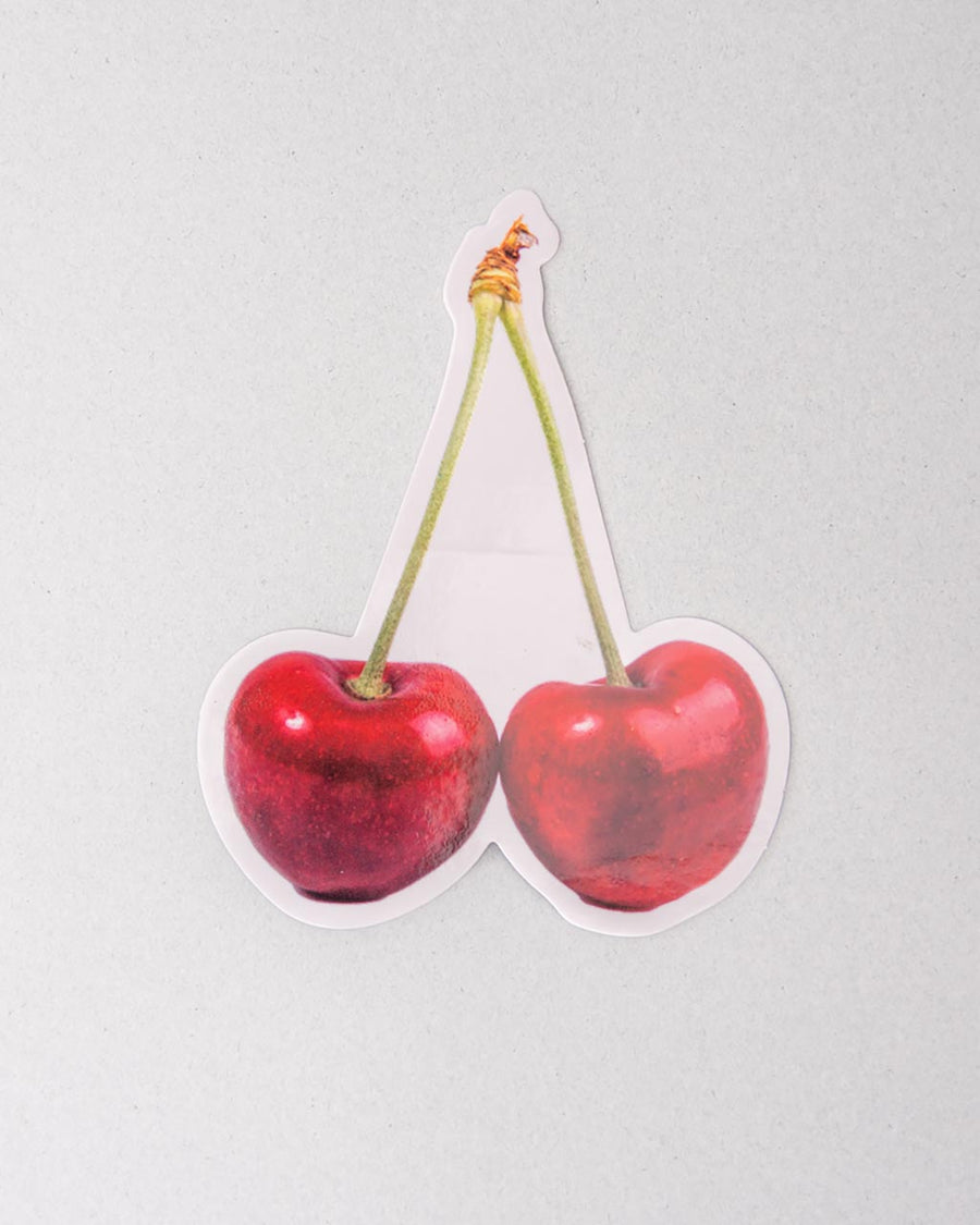 Stick with It! Big Vinyl Stickers - Pastries and Books