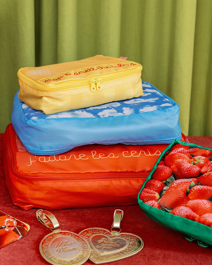 4 packing cubes with various sayings and realistic prints