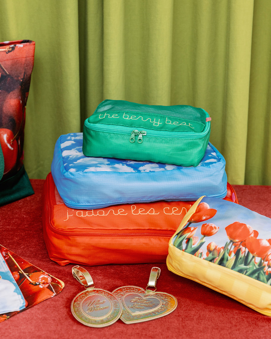 4 packing cubes with various sayings and realistic prints