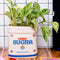 pure can sugar ceramic sugar bag vase with a green plant inside