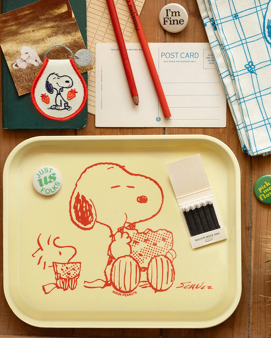 Snoopy & Woodstock Watermelon Tray – ban.do