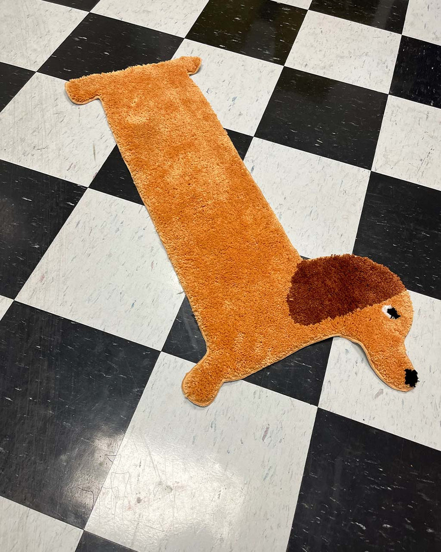 brown long dog throw rug