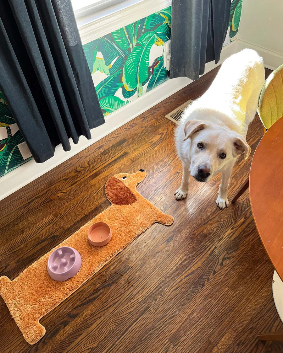 brown long dog throw rug with dog bowls on it