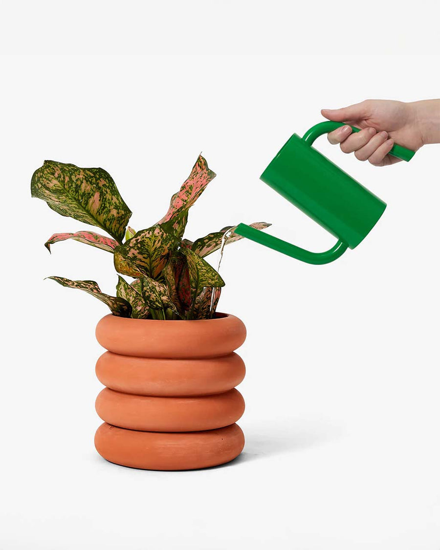 model watering their plant with small green watering can with elongated spout and handle