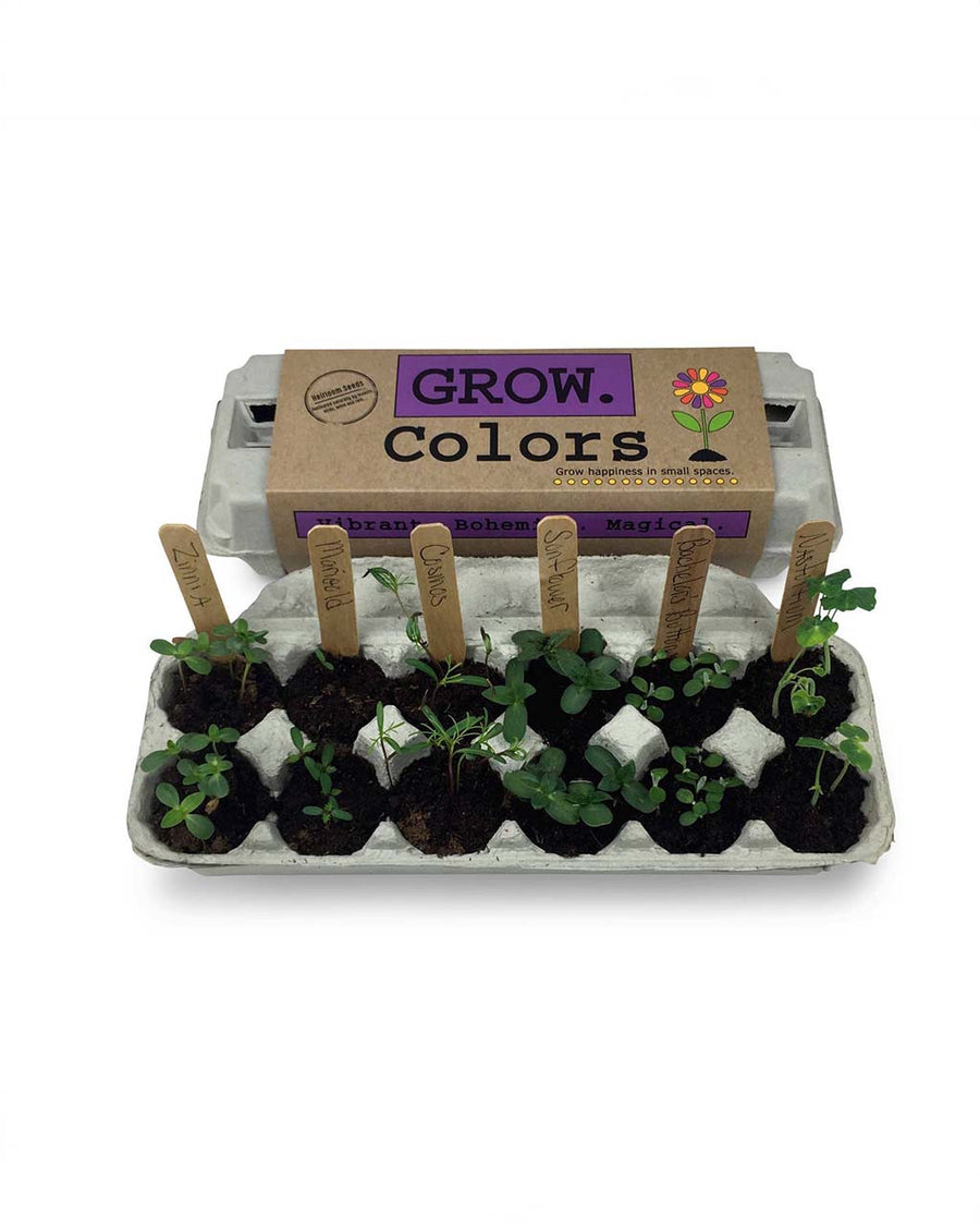grown colorful grow kit with 6 packs of seeds, wooden stakes, pencil, egg carton and soil
