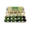 grown herb grow kit with 6 packs of seeds, wooden stakes, pencil, egg carton and soil