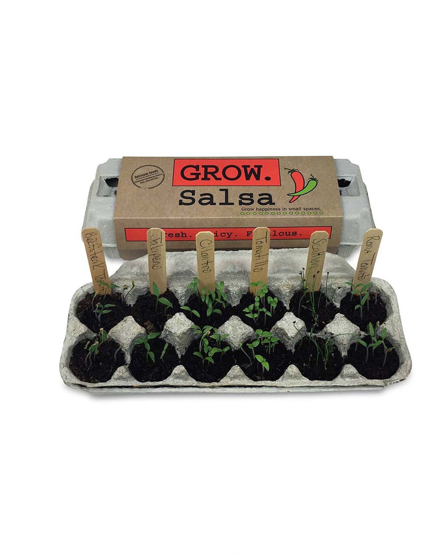 grown salsa grow kit with 6 packs of seeds, wooden stakes, pencil, egg carton and soil