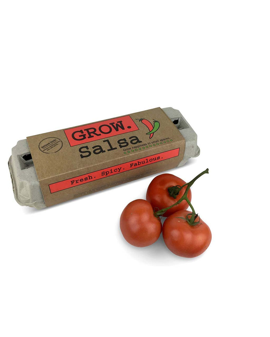 packaged salsa grow kit with 6 packs of seeds, wooden stakes, pencil, egg carton and soil