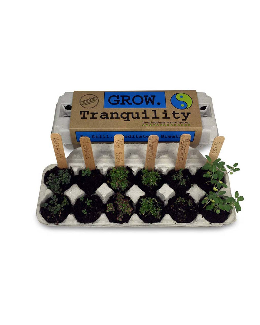 grown tranquility salsa grow kit with 6 packs of seeds, wooden stakes, pencil, egg carton and soil