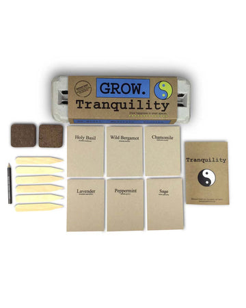 tranquility salsa grow kit with 6 packs of seeds, wooden stakes, pencil, egg carton and soil