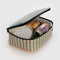 interior of colorful multi stripe lunch box with food inside