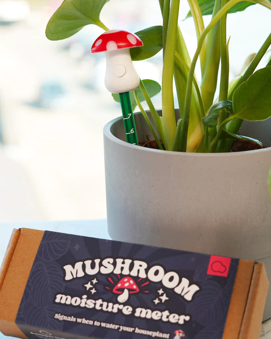 red and white mushroom moisture meter inside a potted plant with the box next to it