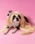 dog wearing black and white bulldog shaped hair claw in blonde wig