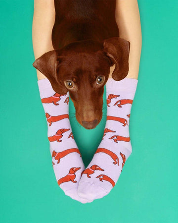 model wearing lilac socks with dachshund socks with a dachshund laying on their legs