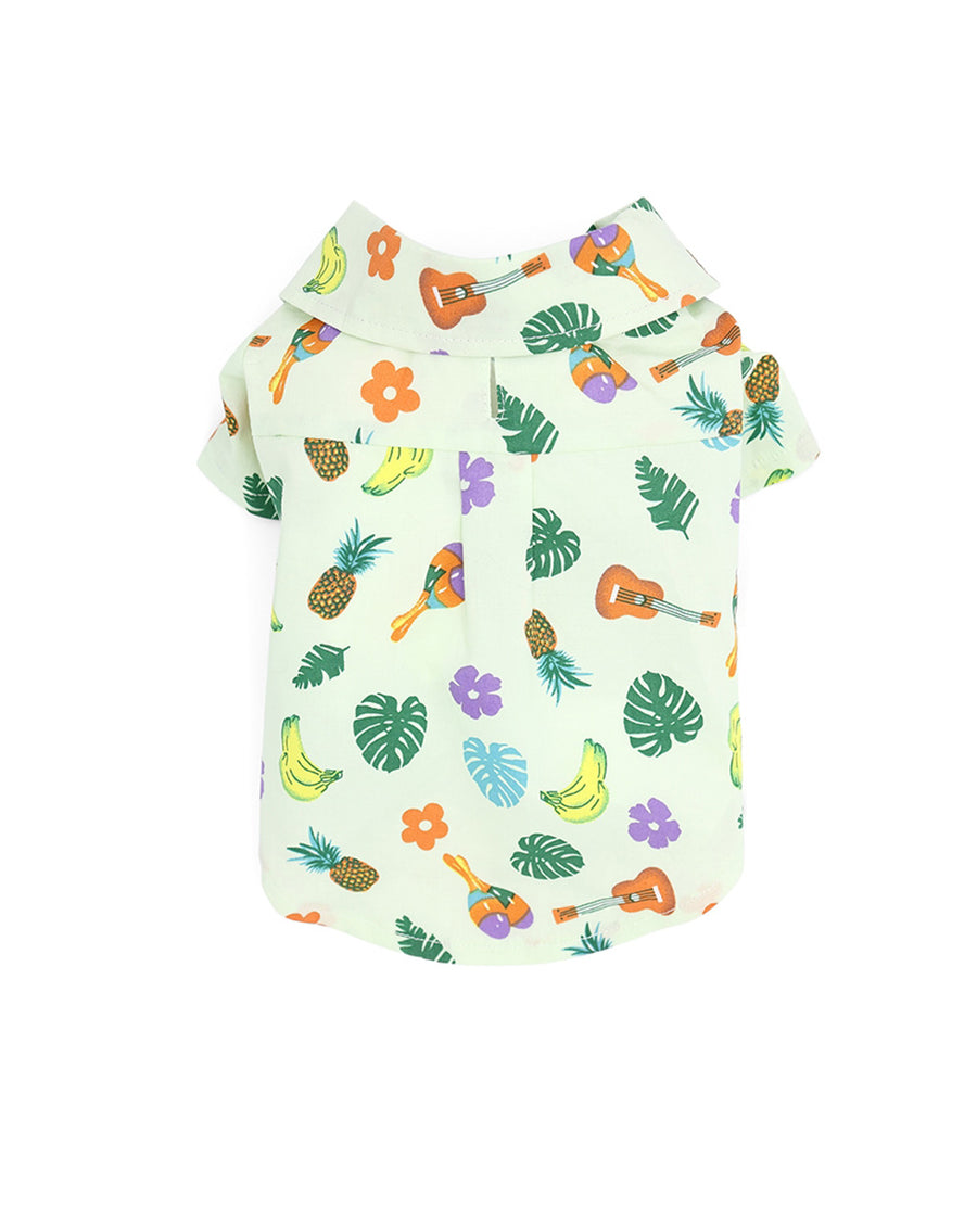 backview of mint colored button down shirt with monstera leaf, bananas, pineapple, guitar and maracas print 