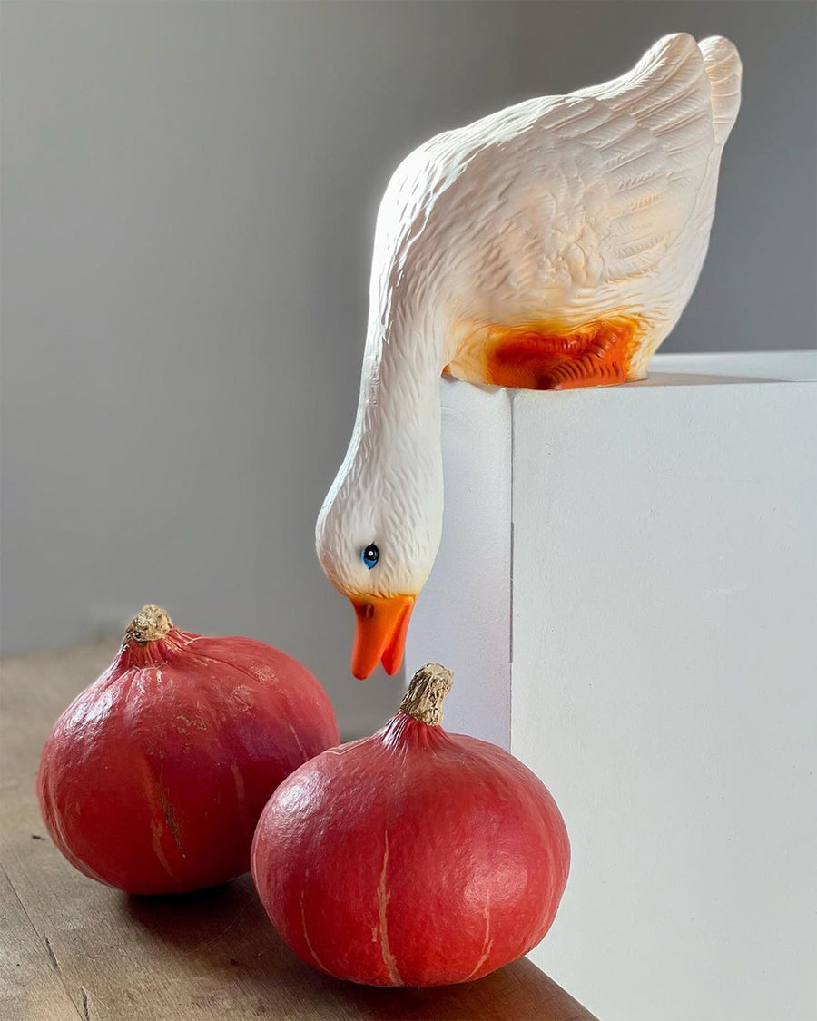 white duck looking down lamp