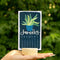 model holding colorful january potted plants desk calendar with wooden base
