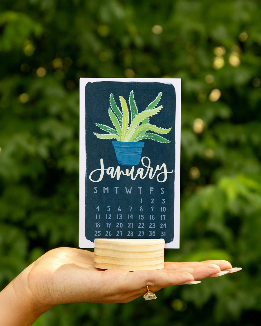model holding colorful january potted plants desk calendar with wooden base